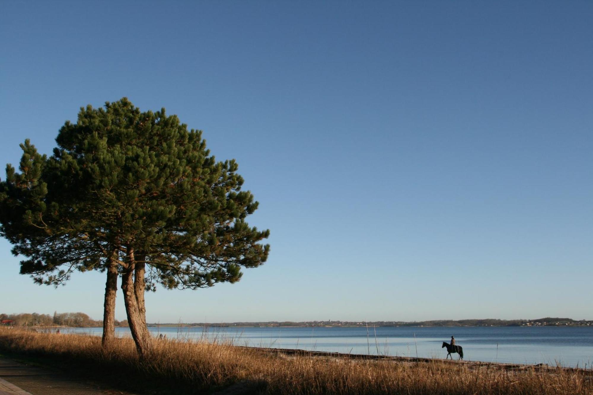 Ostsee-Strandhaus-Holnis 格吕克斯堡 外观 照片